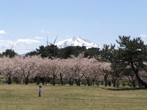 平滝沼公園と岩木山