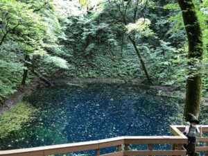 青森県深浦町青池